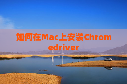如何在Mac上安装Chromedriver 如何在Mac上安装Chromedriver